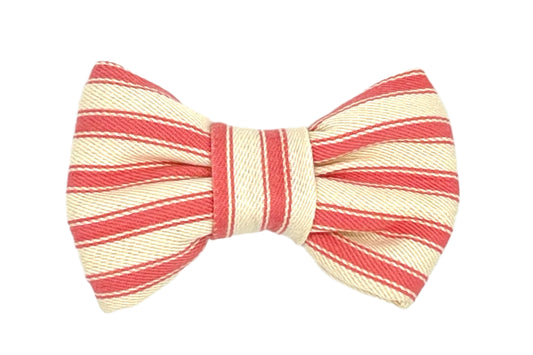 pink ticking stripes bowtie for dogs