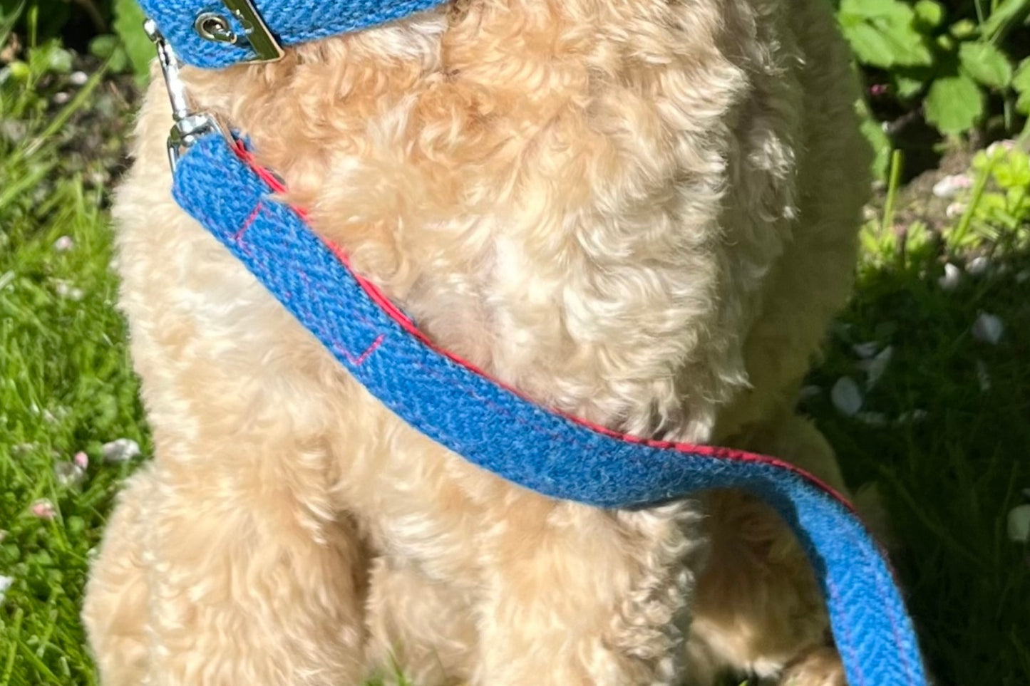blue Harris Tweed dog lead by BlossomCo