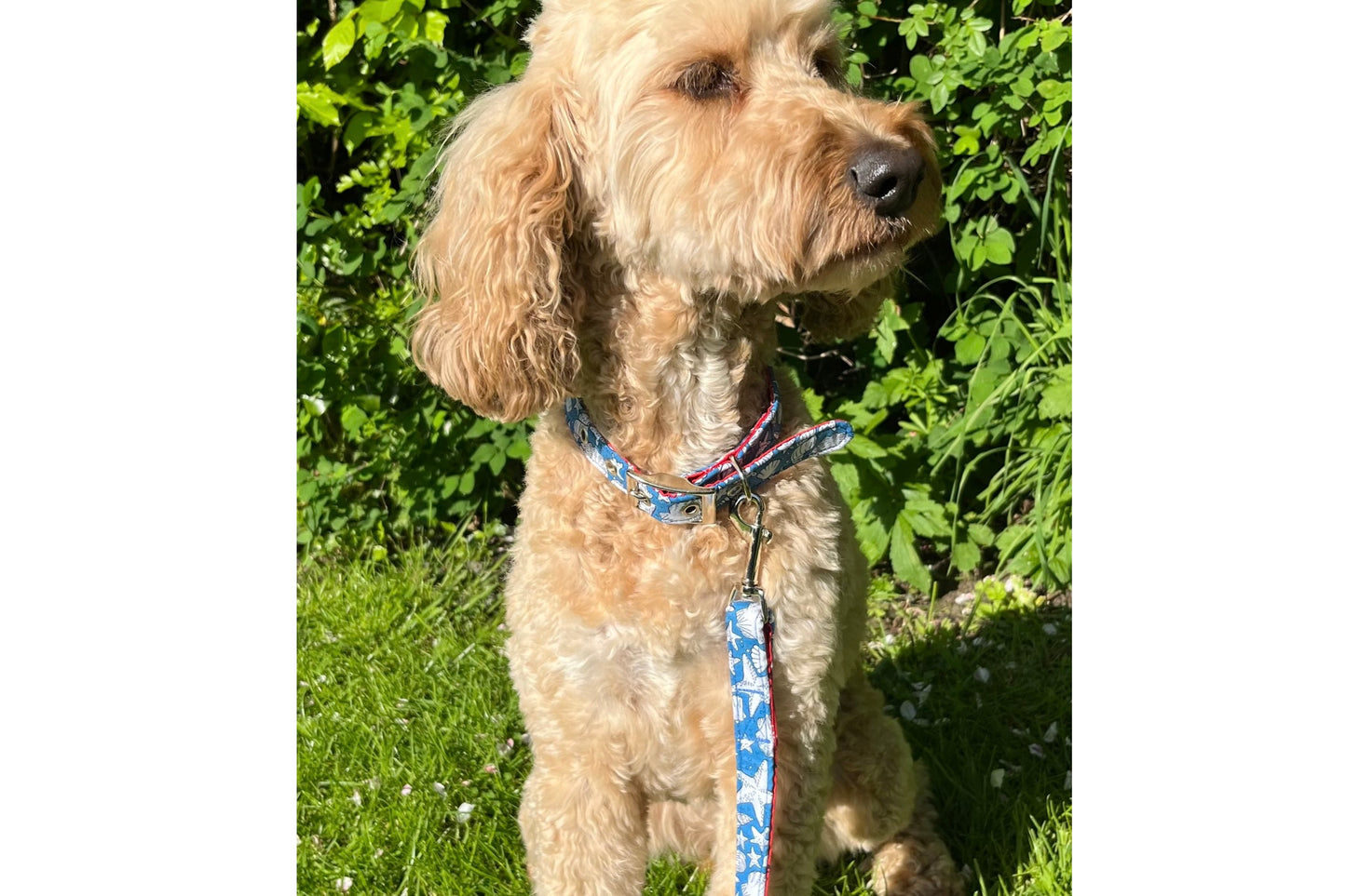 seashells design dog lead handmade in soft fabric