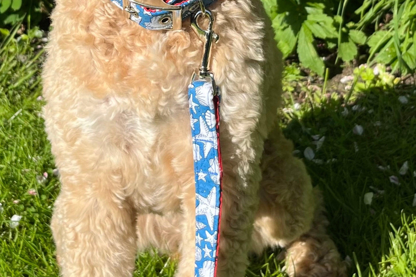 seashells design dog lead handmade in UK in soft cotton fabric