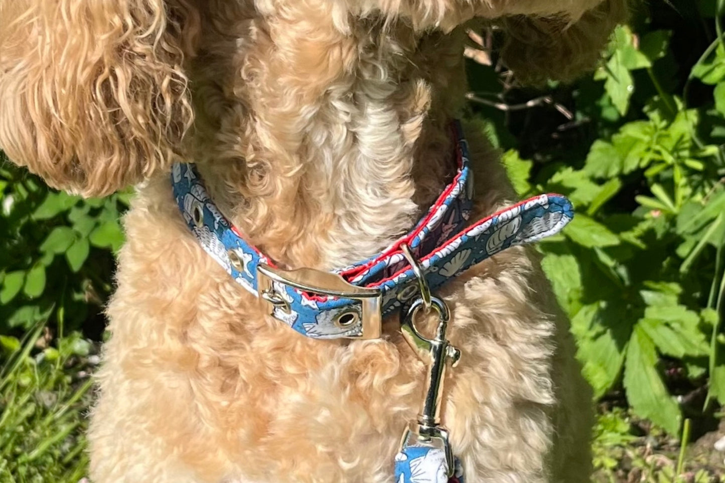 seashells design dog collar handmade in soft fabric