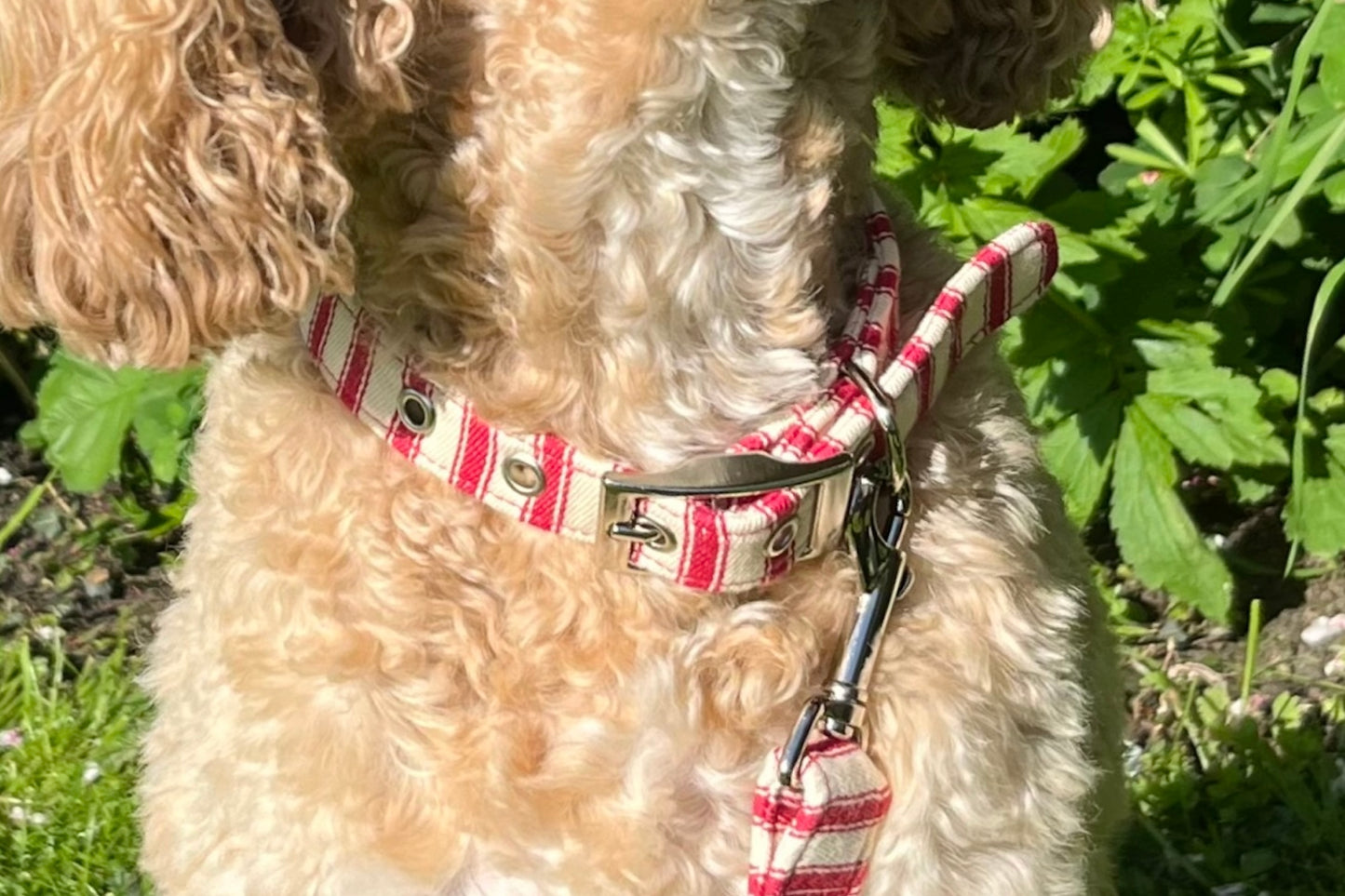 soft fabric dog collar in red ticking stripes handmade by BlossomCo