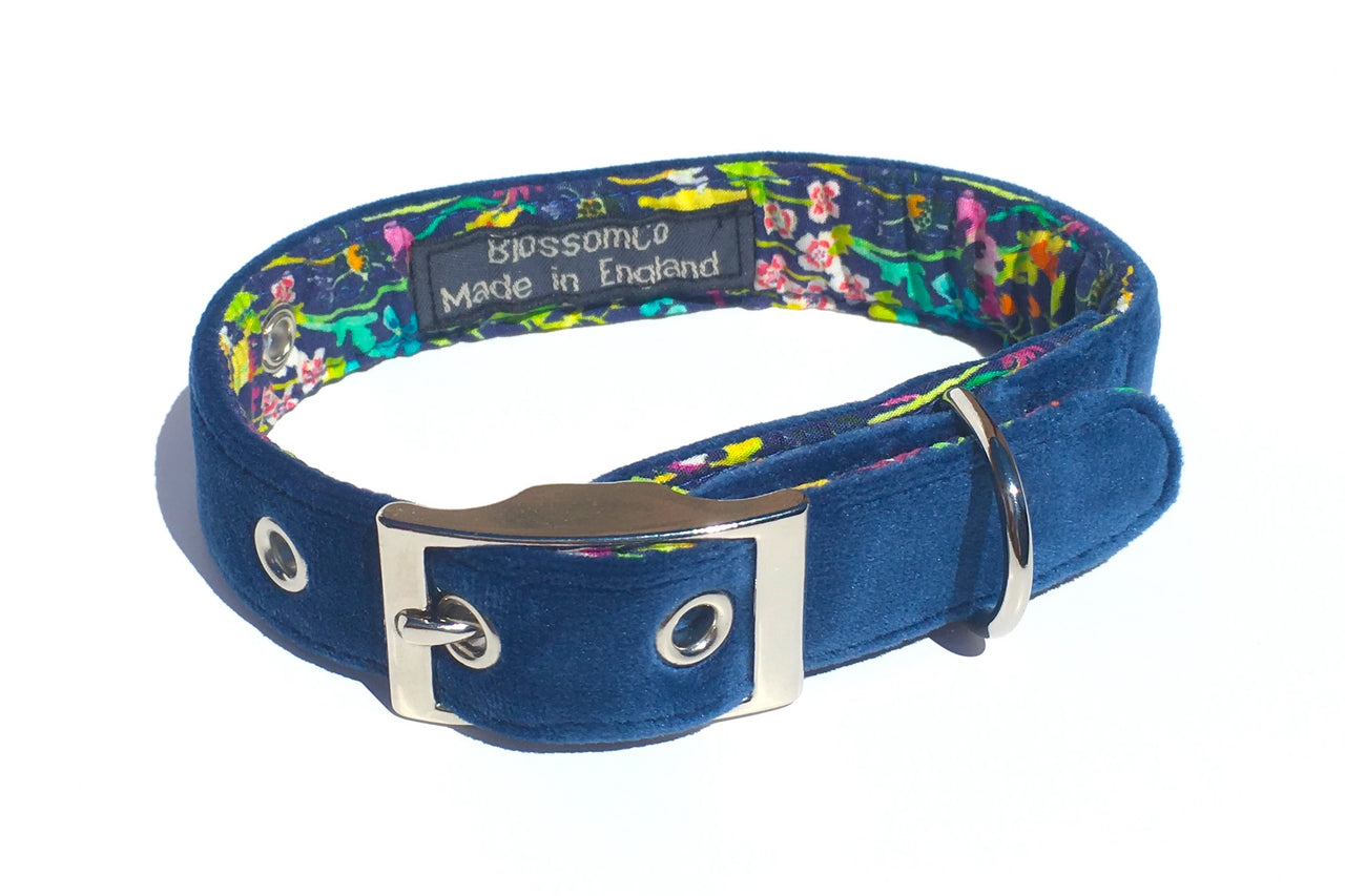 blue velvet dog collar by BlossomCo