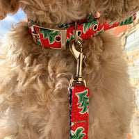 Thumbnail for Dancing Trees Liberty Print dog lead by BlossomCo