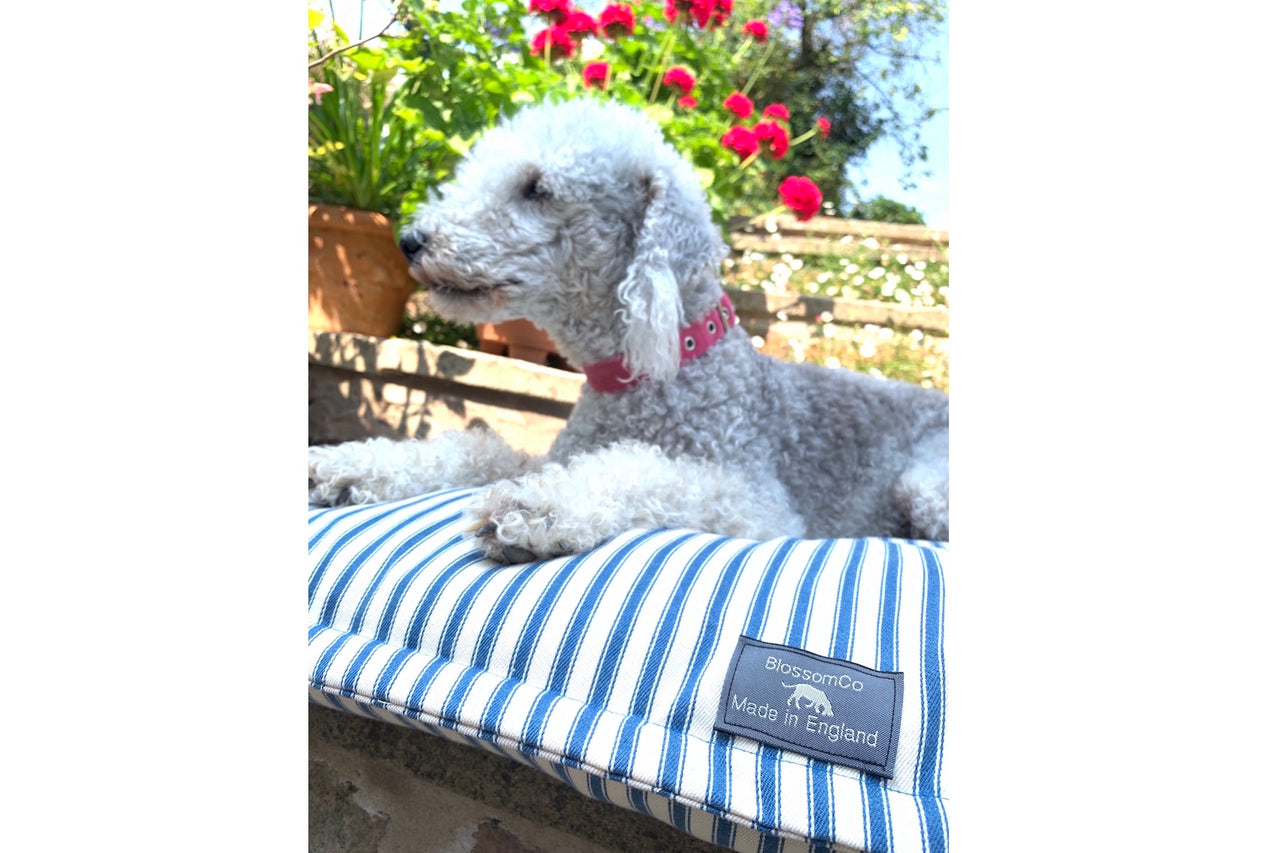 French Blue Ticking Stripes Soft Dog Bed Pillow