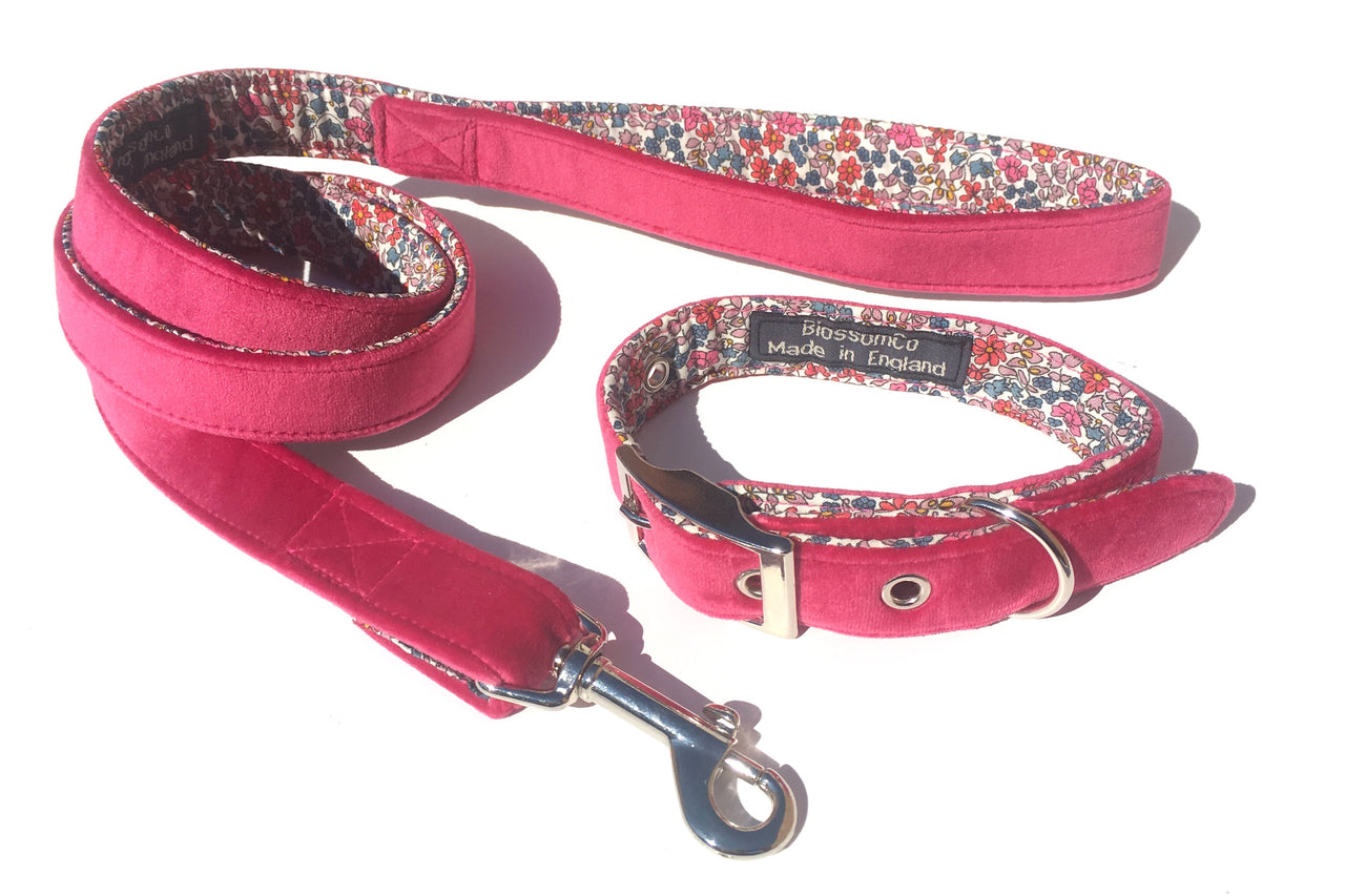 luxury pink velvet dog collar and lead set