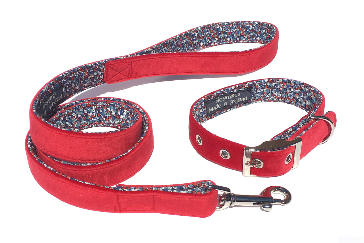 beautiful red velvet dog collar and matching lead set