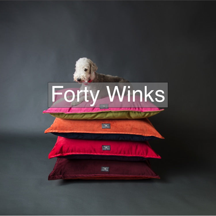 luxury velvet pillow style dog beds