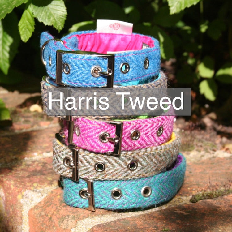 handmade harris tweed dog collars and leads