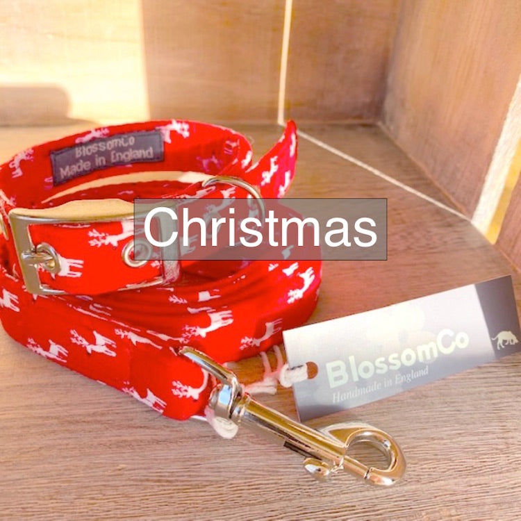 christmas design dog collars and leads