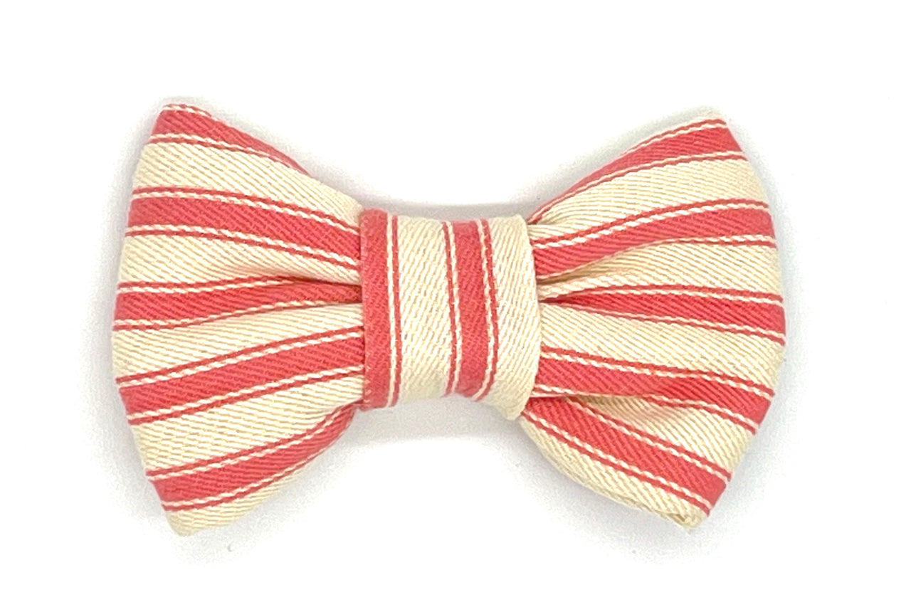 pink ticking stripes bowtie for dogs