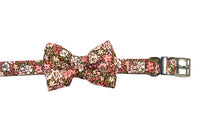 Thumbnail for Emma-Louise Liberty print dog collar and bowtie