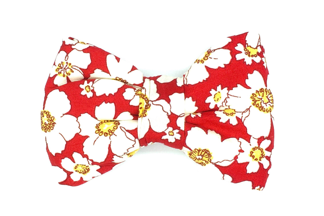 red floral dog bowtie - Firle by BlossomCo