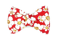 Thumbnail for red floral dog bowtie - Firle by BlossomCo