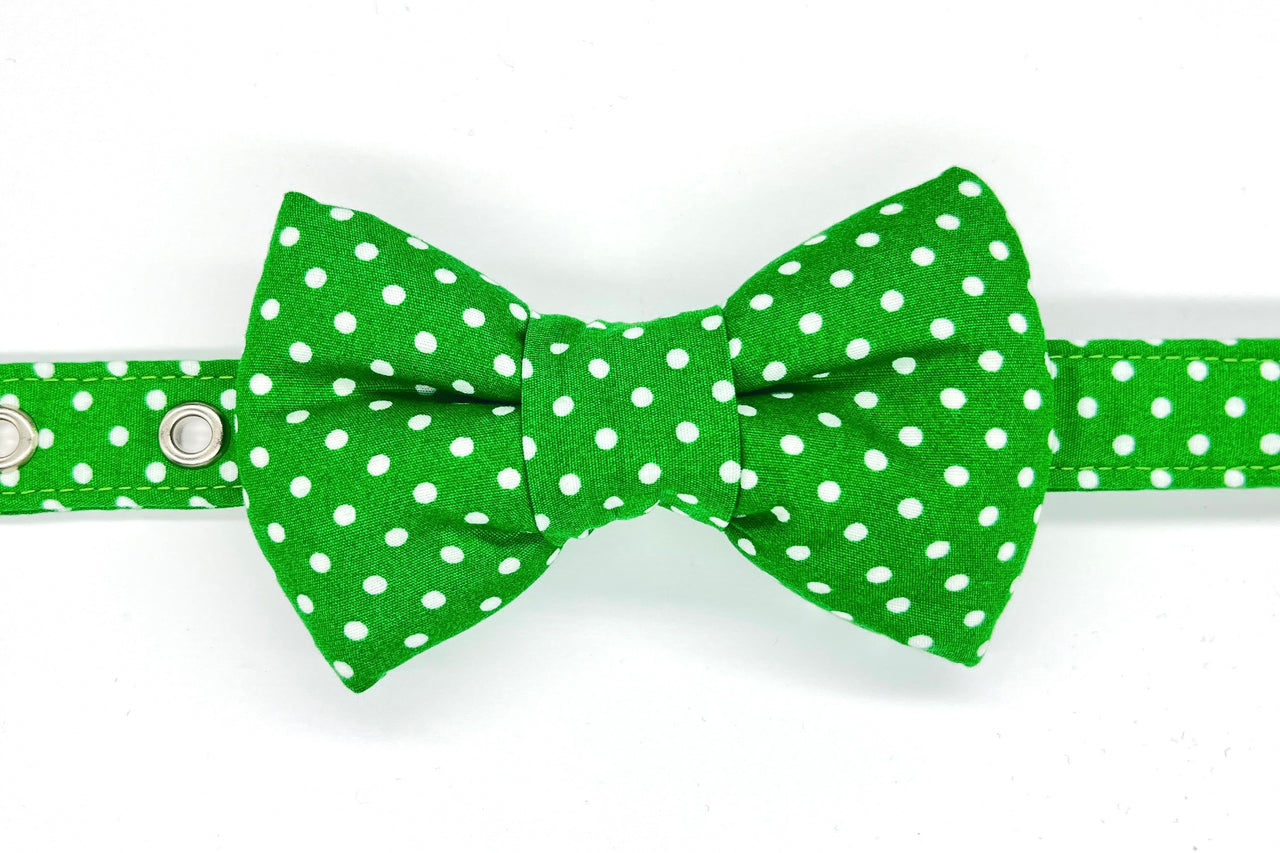 green polka-dot dog bowtie on matching George dog collar by BlossomCo