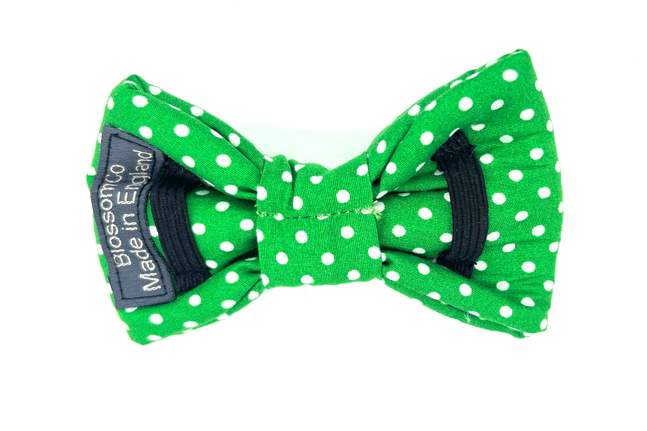 green polka-dot dog bowtie George design by BlossomCo