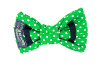 Thumbnail for green polka-dot dog bowtie George design by BlossomCo