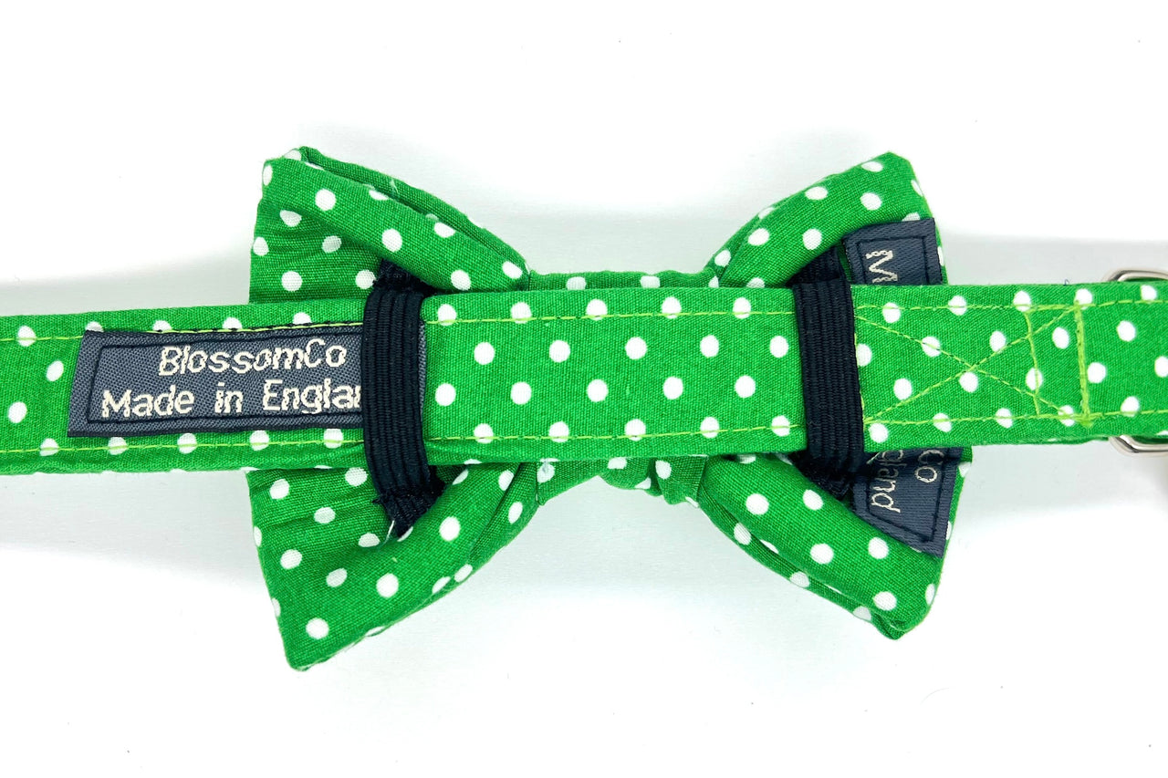 green polka-dot dog bowtie fitting on matching George dog collar by BlossomCo