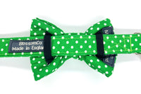 Thumbnail for green polka-dot dog bowtie fitting on matching George dog collar by BlossomCo