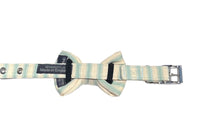 Thumbnail for Hartland green and white dog bowtie on matching dog collar by BlossomCo