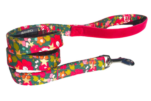 soft dog lead in Betsy Star Liberty print with pink velvet handle