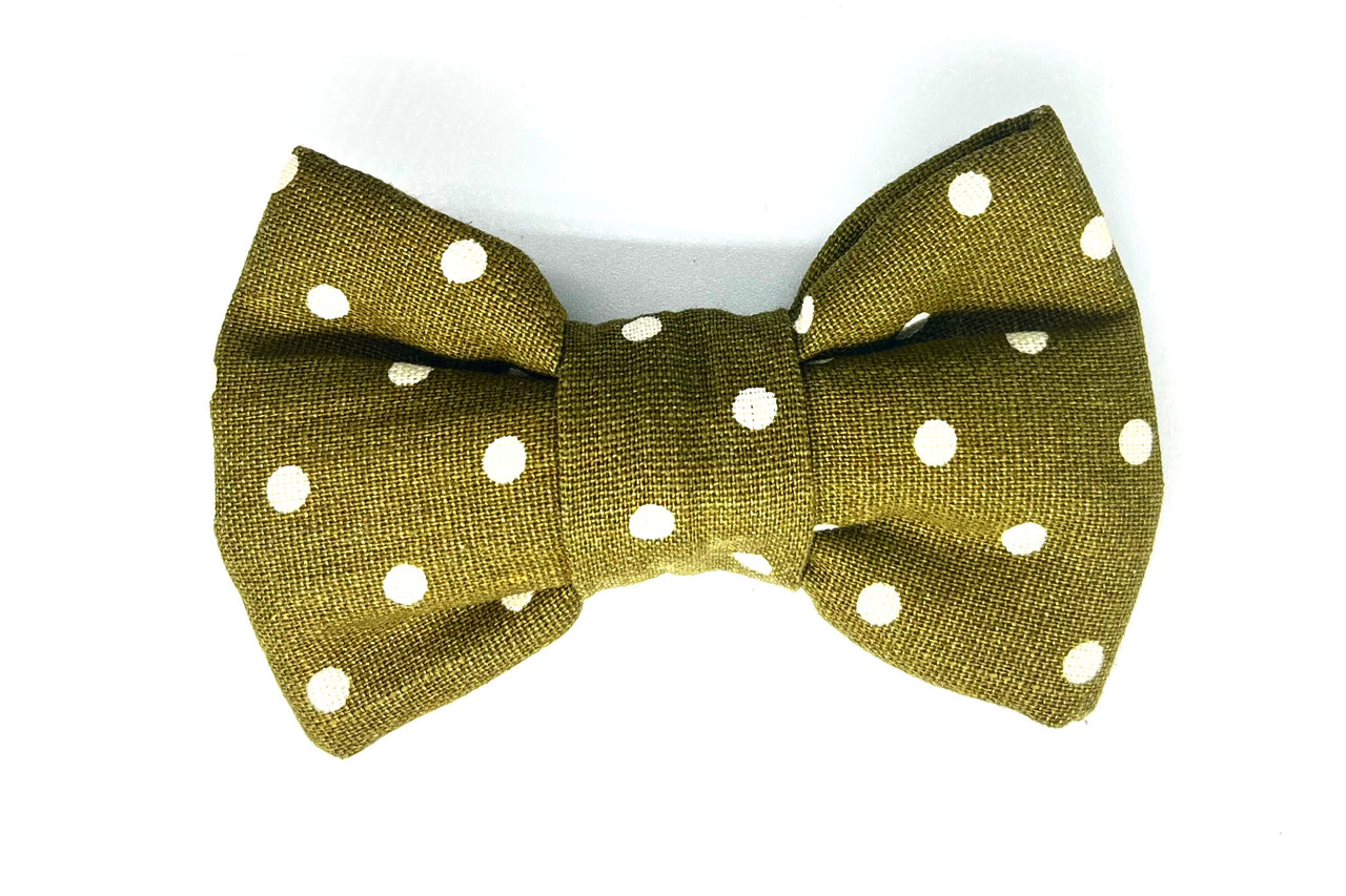 olive green dog bowtie by BlossomCo