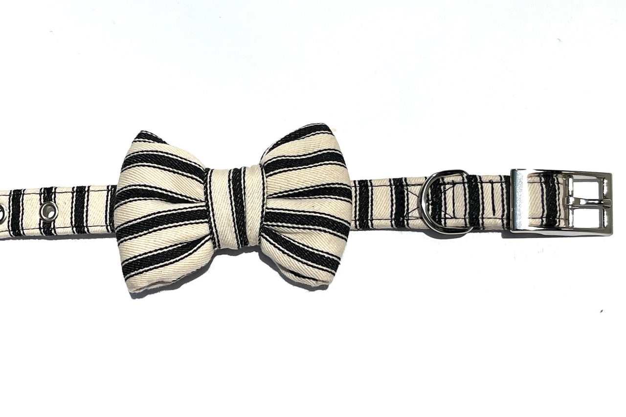 Paddington design black and white ticking stripe dog collar and bowtie by BlossomCo