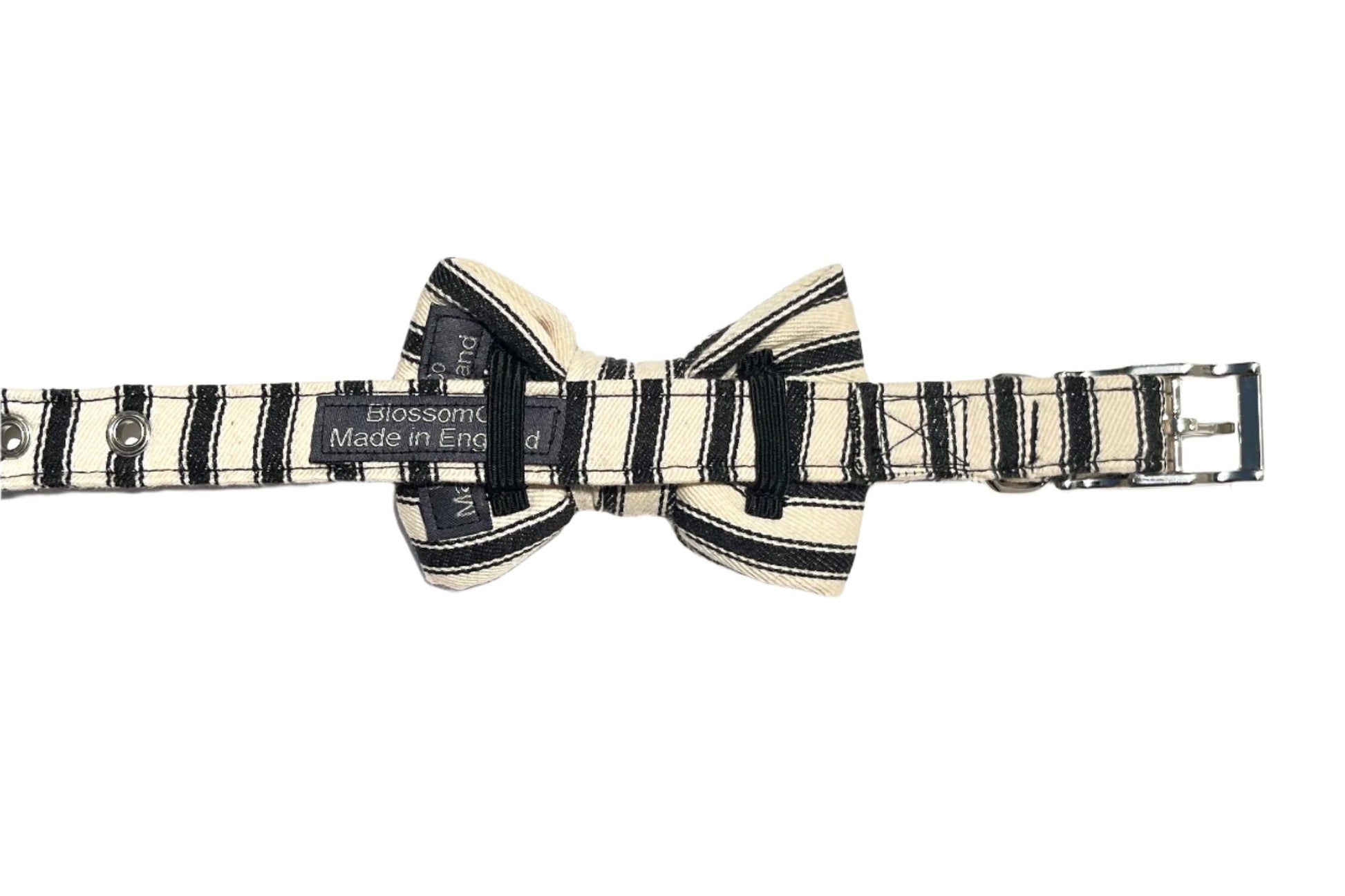 Paddington black and white dog bowtie on matching dog collar by BlossomCo