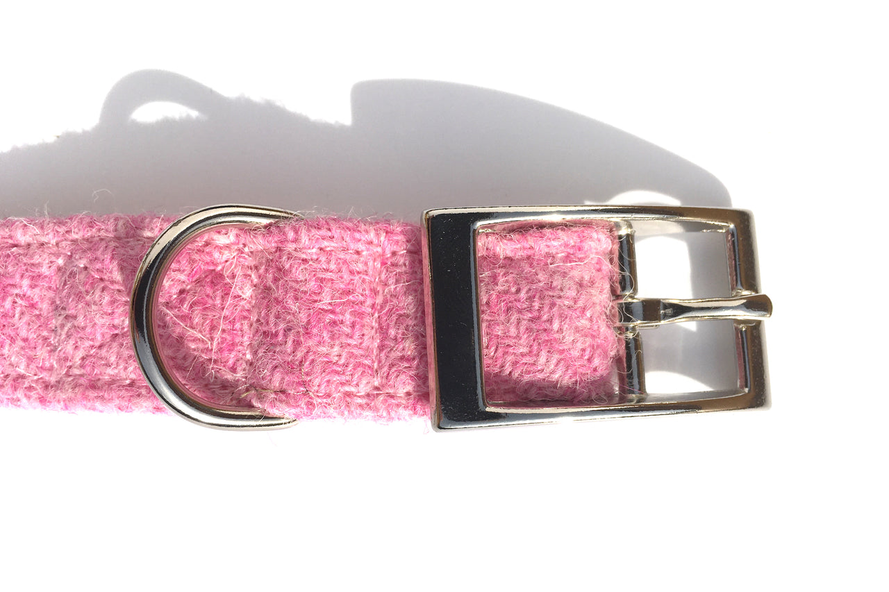 Pink Harris Tweed dog collar by BlossomCo with buckle detail