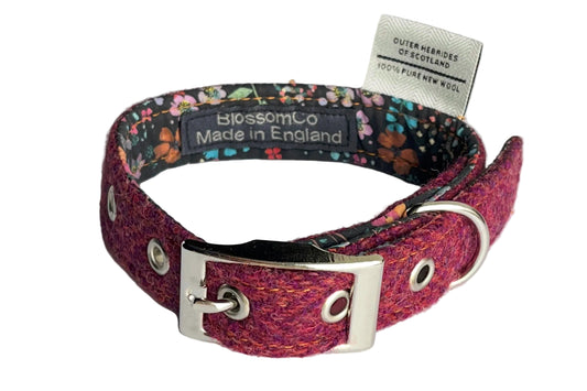 Raspberry Pink Harris Tweed Dog Collar - the Flodaigh design by BlossomCo