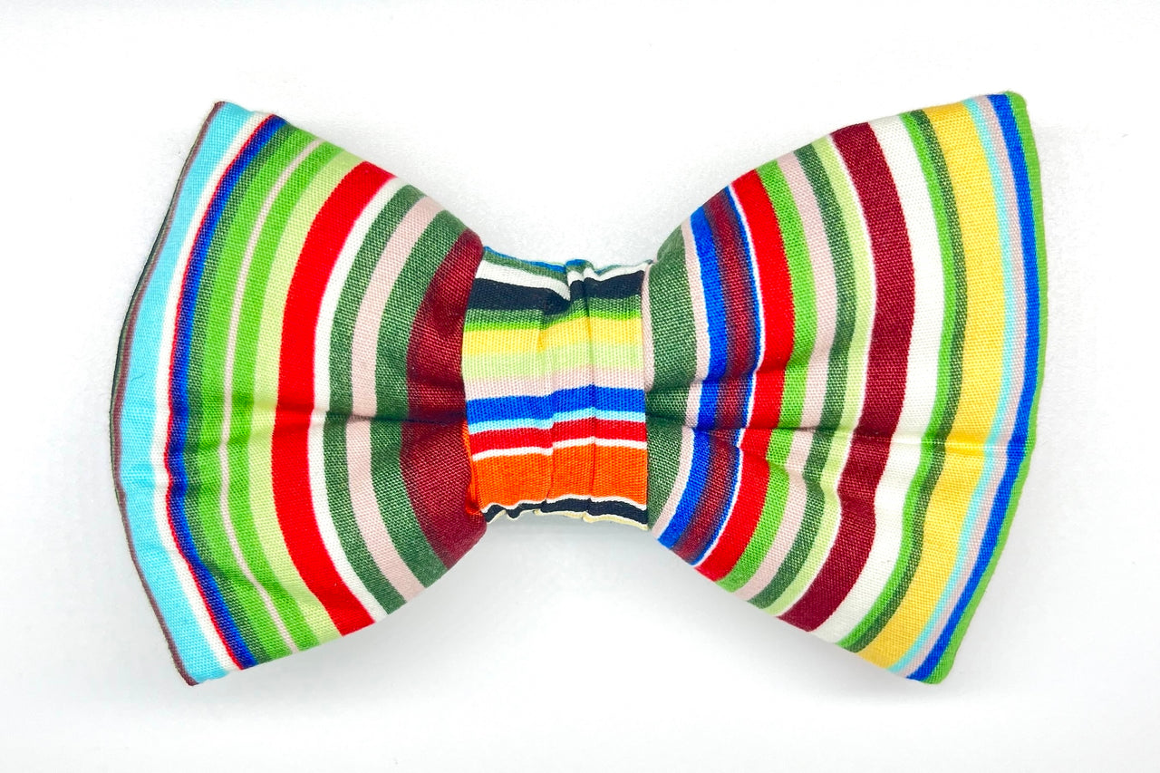 multicolour stripes bowtie for dogs - Rock by BlossomCo
