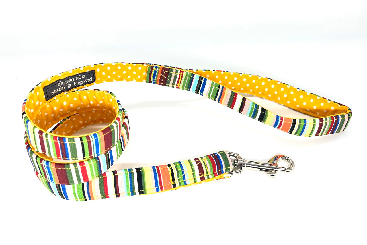 multicoloured stripes design dog lead - Rock by BlossomCo