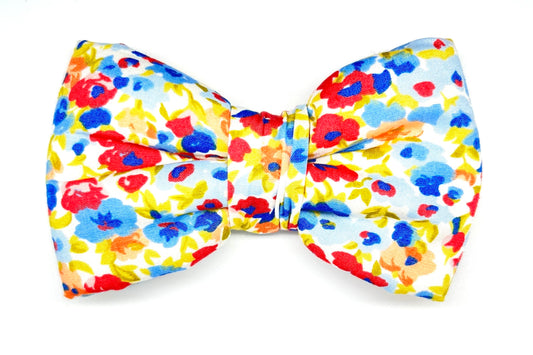 somerby dog bowtie bright floral design