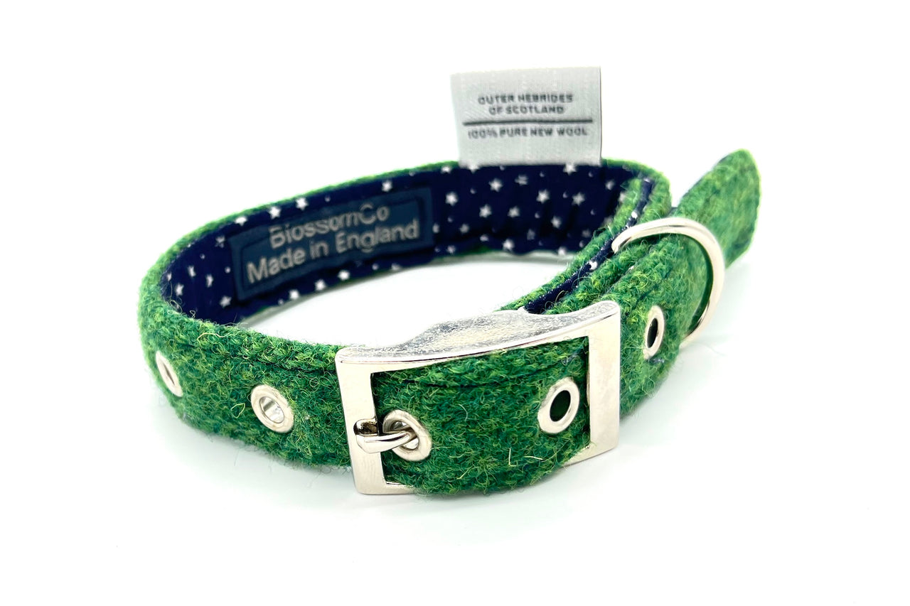 green Harris Tweed dog collar handmade by BlossomCo