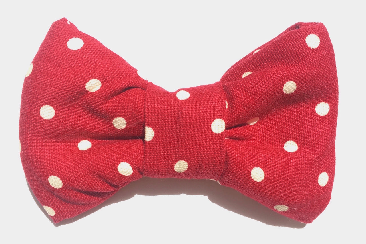 deep red with white polka dot bowtie for dogs