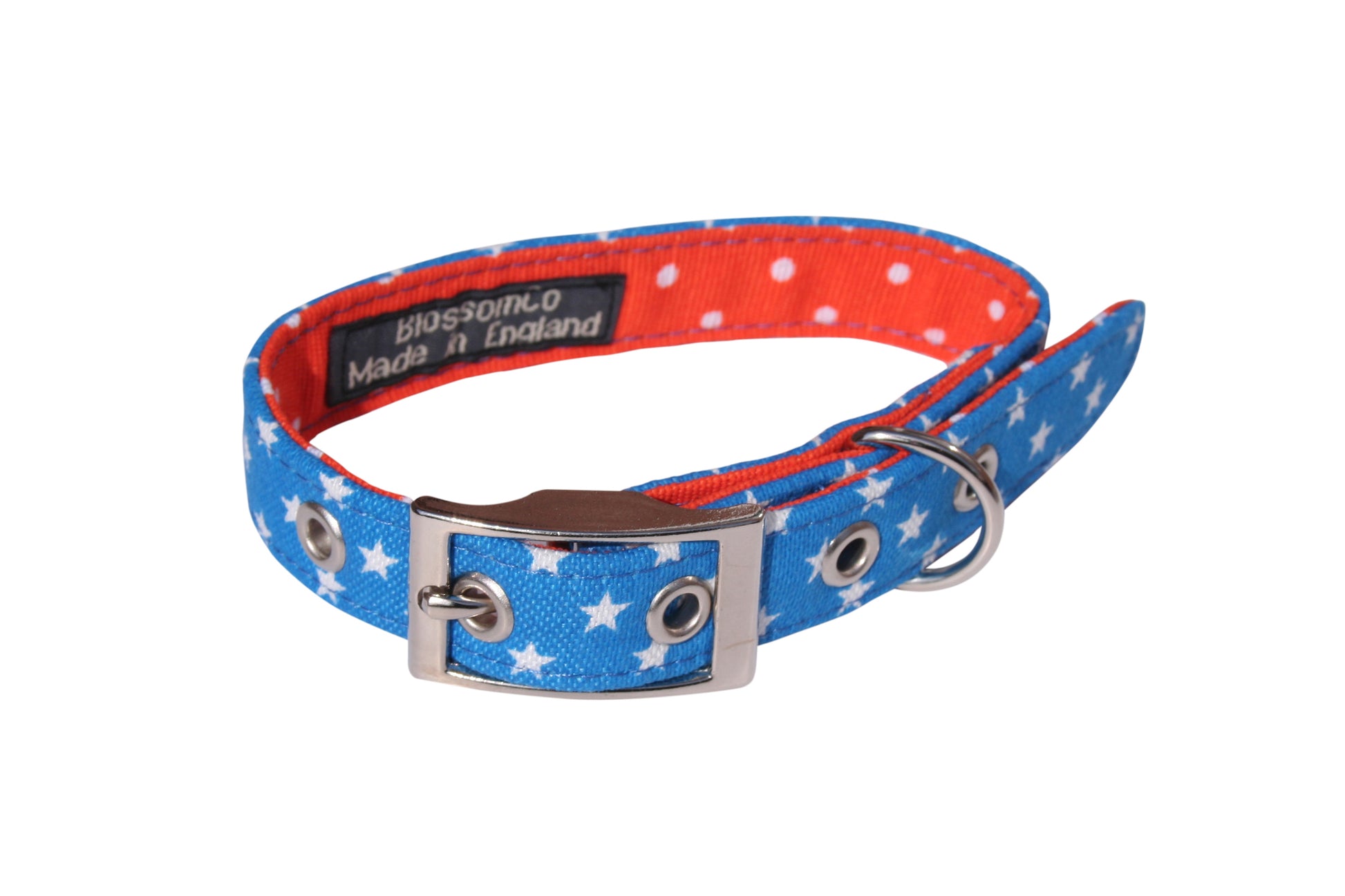 Bright blue and orange fabric dog collar