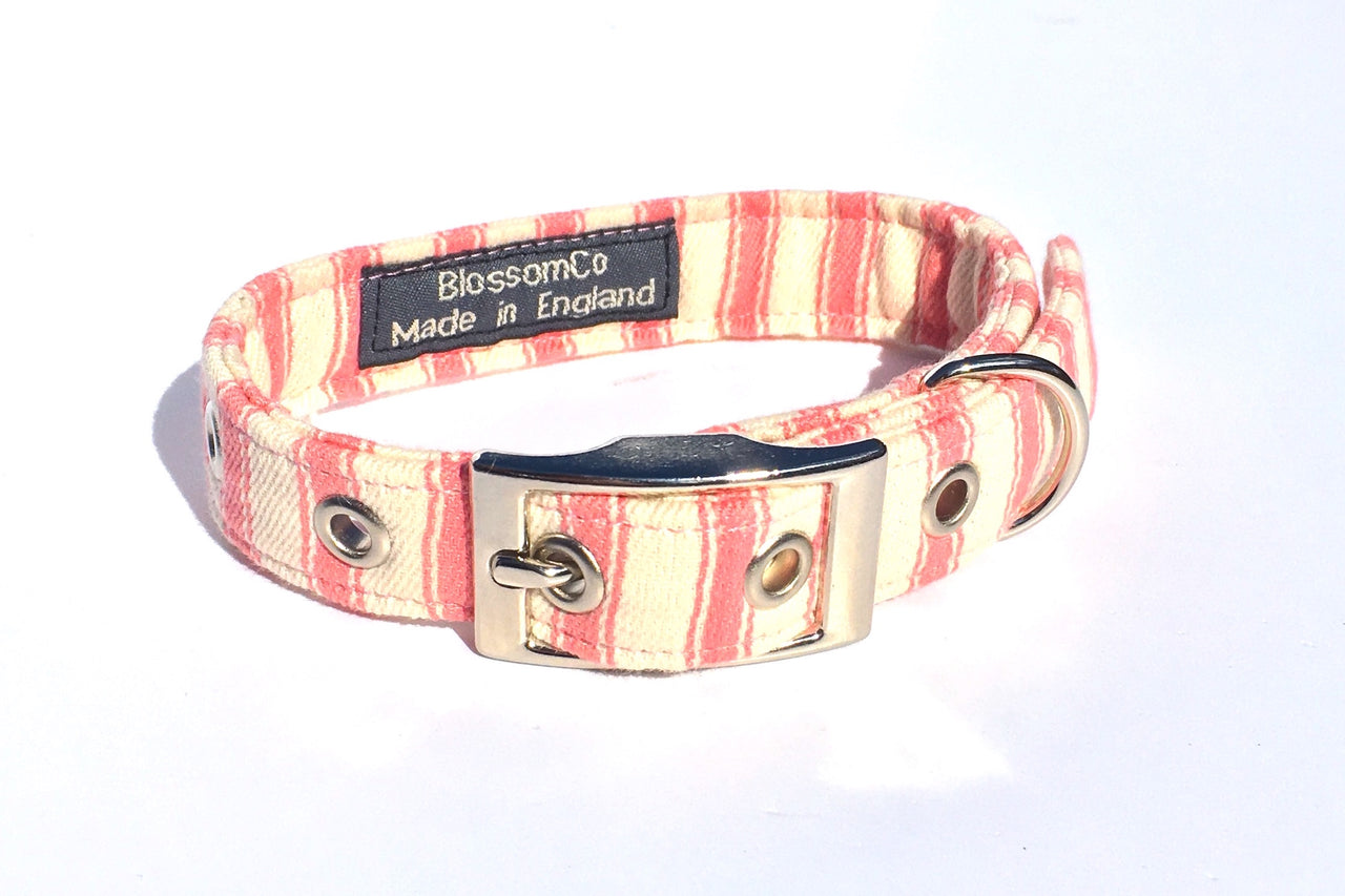 Bennet - Pink Ticking Dog Collar