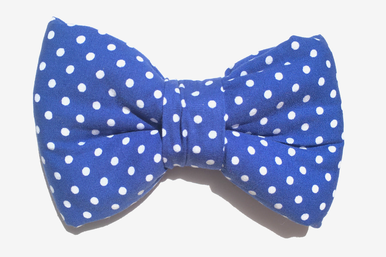 blue polka dot dog bow tie