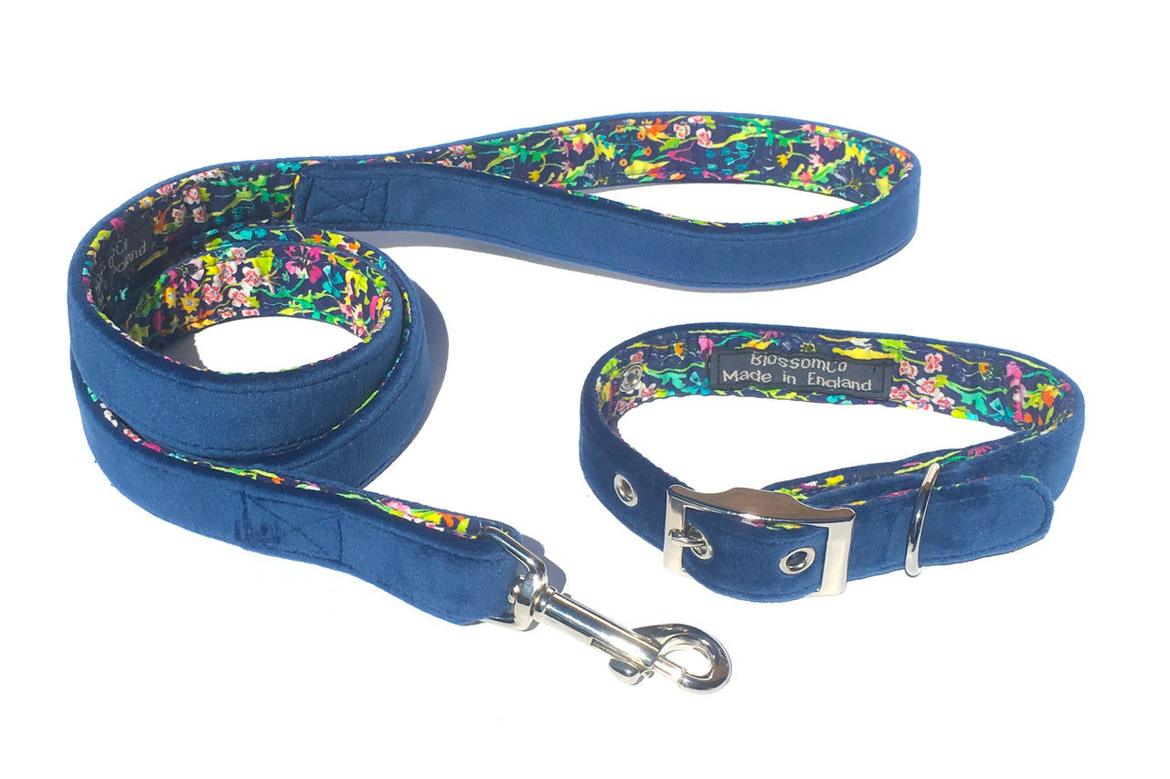 luxurious blue velvet dog collar and lead set