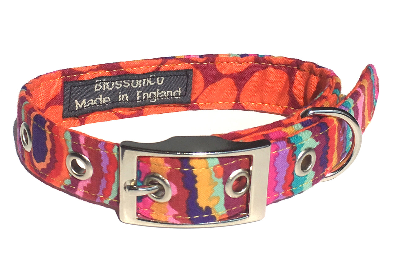 bright funky colourful dog collar