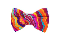 Thumbnail for colourful stripes bow tie for dogs
