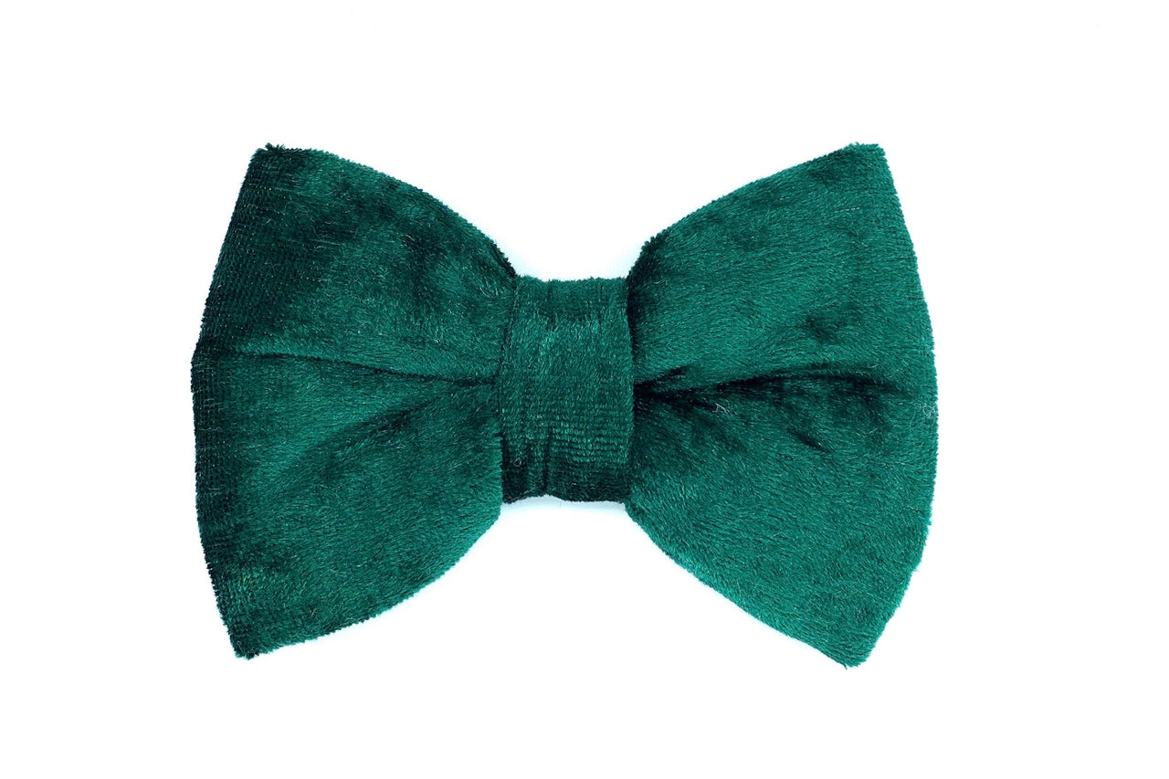 luxurious deep green velvet bowtie for dogs