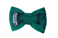 Thumbnail for deep green velvet dog bowtie