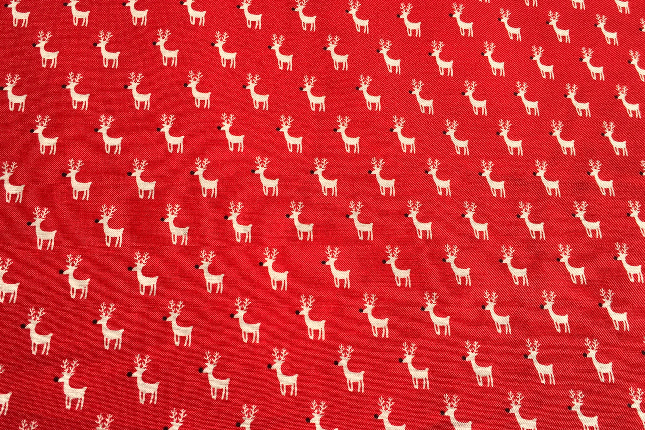christmas reindeer design blossomco dogwear