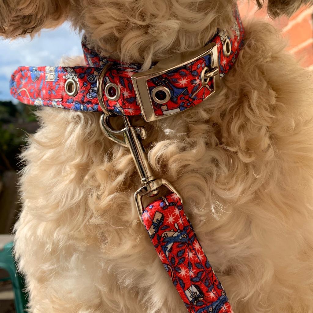 Liberty Print Christmas dog collar and lead made by BlossomCo