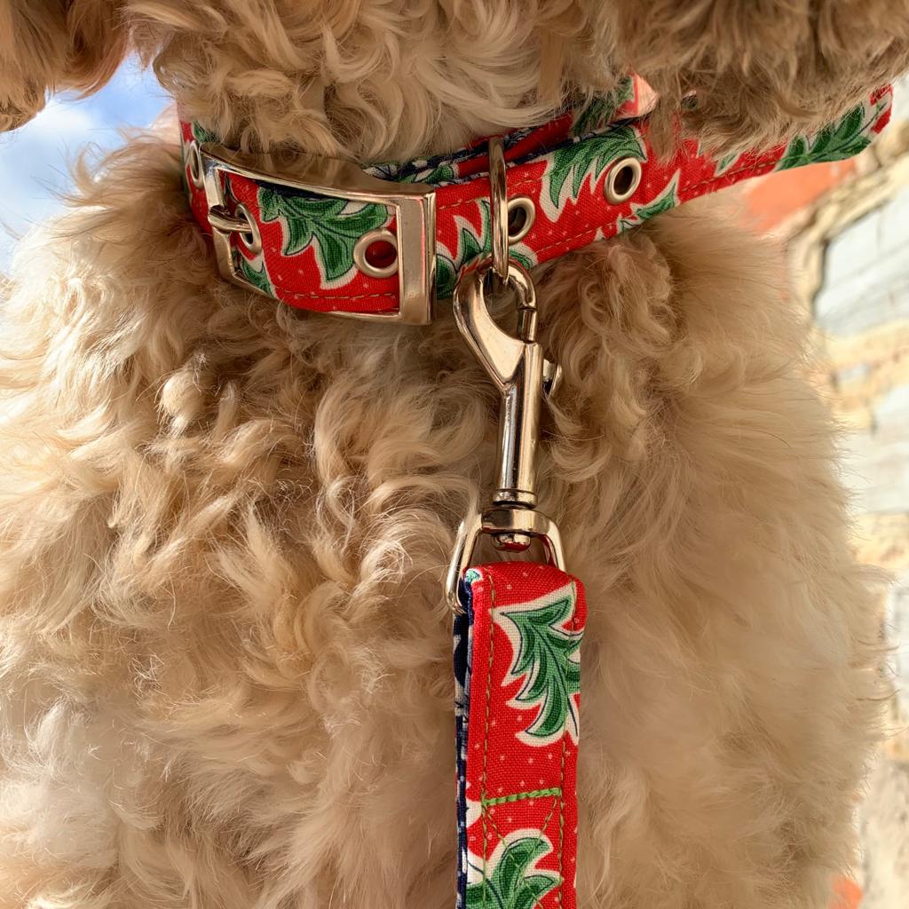 festive dog collar for christmas in liberty print