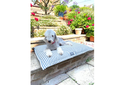 French Blue Ticking Stripes dog bed pillow