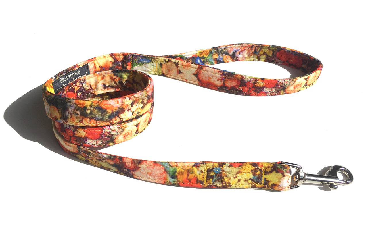 Ginny, beautifully soft fabric dog lead by BlossomCo