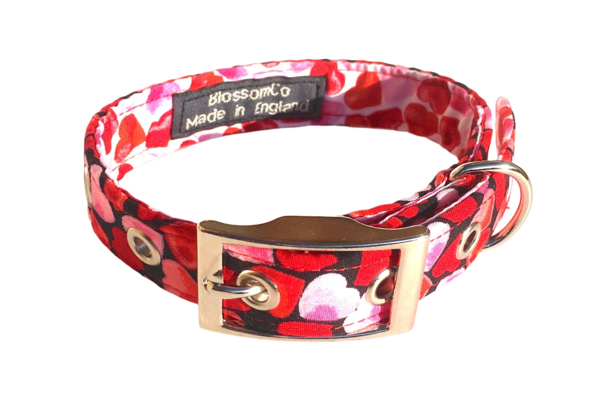 Valentines Dog Collar with hearts and love