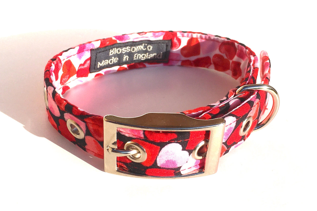 Valentines Dog Collar with hearts and love